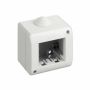 Idrobox 2 horizontal modules Waterproof IP40 - Bticino 25402