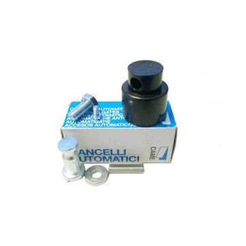 Testa in nylon traente per motoriduttori CAME serie KRONO - CLOCK 119RID011