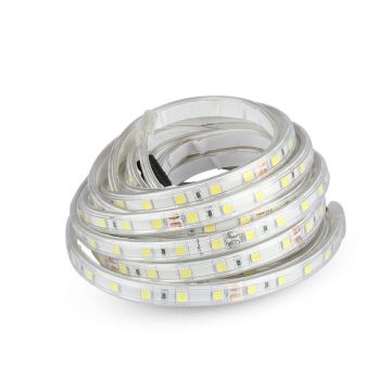 V-TAC VT-5050 Striscia led 24V SMD5050 strip 9W/mt 5M 60led/mt Bianco freddo 6400K waterproof IP65 10mm - SKU 212564